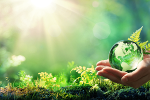 sustainability