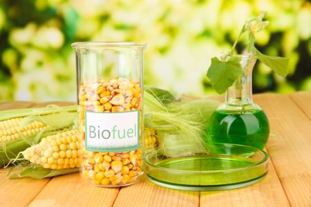 biofuel analysis gas analysis