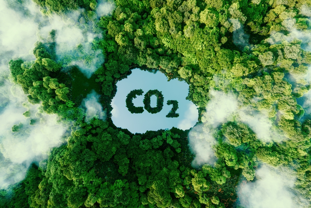 Carbon Capture